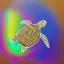 Placeholder: turtle and rainbow