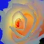 Placeholder: luminous rose in moonlight glow