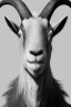 Placeholder: award winning portrait of a male anthropomorphic goat long black hair. character design by cory loftis, fenghua zhong, ryohei hase, ismail inceoglu and ruan jia. unreal engine 5, artistic lighting, highly detailed, photorealistic, fantasy