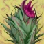 Placeholder: Dragon fruit by Vincent van gough