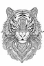 Placeholder: outline art for an Adult coloring page, Sketch style, only use outline< Mandala style Tiger, clean line art, white background, no shadows and clear and well