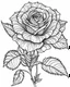 Placeholder: real massive only Rose flower, coloring page, no leaves, full body (((((white background))))), only use an outline., real style, line art, white color, clean line art, white background, Sketch style