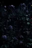 Placeholder: dark garden with grapevines, occult, darkness, purple flowers and black roses