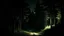 Placeholder: summer night forest forest road