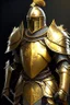 Placeholder: medival paladin with golden armor