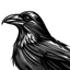 Placeholder: waist-length bust black raven, profile, open mouth, linocut style, white background, empty space around the head, minimalism, artistic deformation of the head shape, empty space at the back of the head