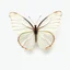 Placeholder: one white butterfly, top view, white plain transparent background