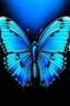 Placeholder: The cover of the album is a song in the shape of a bright blue butterfly