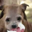 Placeholder: lady looking to the camera with milk on her tongue