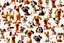 Placeholder: MJ P: a bunch of silly comical looking cartoon dogs and cats, 3D, high contrast, ultra-detailed, high depth of field, white background