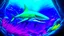 Placeholder: Comic style, realistic coloring, underwater, coral reef, shark