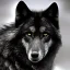 Placeholder: Black wolf