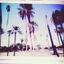 Placeholder: palm trees and polaroids