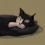 Placeholder: Gato negro durmiendo,cama, noche