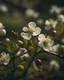 Placeholder: spring