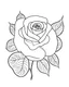 Placeholder: rose flower, full view, realistic face, coloring page, only draw lines, coloring book, clean line art, –no sketch, color, –ar 3:4, white background, minimalistic black lines, minimal black color, low level black colors, coloring page, avoid thick black colors, thin black line art, avoid colors, perfect shape, perfect clear lines,