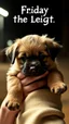 Placeholder: Friday the thirteenth movie holding a puppy