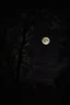 Placeholder: Night, tree leaves, moon, clouds, creepy gothic movies influence, photography