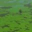 Placeholder: duckweed scientist floating