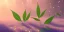 Placeholder: crystal subtle marijuana leaf in a galactic ambiance beautiful fairy, transparent, delicate colors, in the foreground, full of details, smooth，soft light atmosphere, light effect，vaporwave colorful, concept art, smooth, extremely sharp detail, finely tuned detail, ultra high definition, 8 k, unreal engine 5, ultra sharp focus