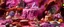Placeholder: A pinkish purple and reddish dream realm made out of cakes and cookies designed in cave paintings painted by Jackson Pollock