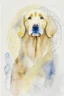 Placeholder: abstract watercolour of a golden retriever dog’s head in the style of Valerie Davide with bifurcated circles and thin pencil lines