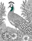 Placeholder: A regal peacock displaying its vibrant plumage in a lush garden filled with exotic flowers. for colouring pages with black and white outline line art ,no blur,no grayscale,only white backdrop,no black backdrop with realistic look