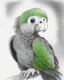 Placeholder: Drawing of a baby parrot