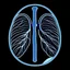 Placeholder: Lungs, Logo, 4k, high resolution