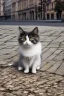 Placeholder: Small cat sitting in the foreground of street in Vienna Austria