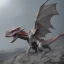 Placeholder: SILVER RED DUST DRAGON