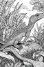 Placeholder: Outline art, lizard in the garden, cartoon style, black and white, low detail, --ar 9:11