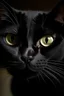Placeholder: Scary Black cat with white around eyes pfp