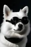 Placeholder: white spitz reegal with black goggles