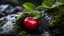 Placeholder: Close up of a deep red apple fruit on a wet rock,a worm comes out of the apple fruit,moss,high details,dark place