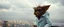 Placeholder: crazy fluffy Christian Slater gremlin maniac scientist in lab coat standing in tower watching city on water