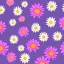 Placeholder: adorable illustration of bunch of daisies, digital illustration, pastel colors, plain background