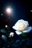 Placeholder: delicate whate rose, night, bright stars, shine magic