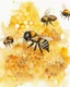 Placeholder: honey yellow background and honeycombs watercolor painted