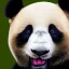 Placeholder: Portrait of panda smile