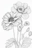 Placeholder: outline art for cute flower coloring pages with which, White background. sketch style, clean line art, white background, no shadow and clear