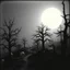 Placeholder: Close-up Ilford photograph of a creepy surreal landscape, eerie, Minicavio Quollati style, very surreal, trees, spooky, metaphysical objects, giant sun, intricate, thoughtful, appalling, deep 3d field, 8k, hypermaximalist