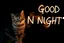 Placeholder: cat and sign "GOOD NIGHT" made of smoke, black background