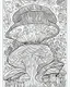 Placeholder: coloring book page, Generate mushroom world. clean and simple line art