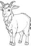 Placeholder: coloring page for kids, goat , cartoon style, thick outline, low details, no shading, no color