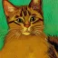 Placeholder: Portrait of a cat by Van Gogh