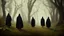 Placeholder: Black robed, hooded monks on the forest path