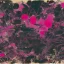 Placeholder: pink lotos mono botan, Jackson Pollock