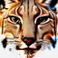 Placeholder: Egyptian lynx face