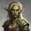 Placeholder: Elf-Orc, Elf Anteil Sonnenelf, Helles Haar, Braun bis grüne haut, DnD Character, Fighter, Female, Young